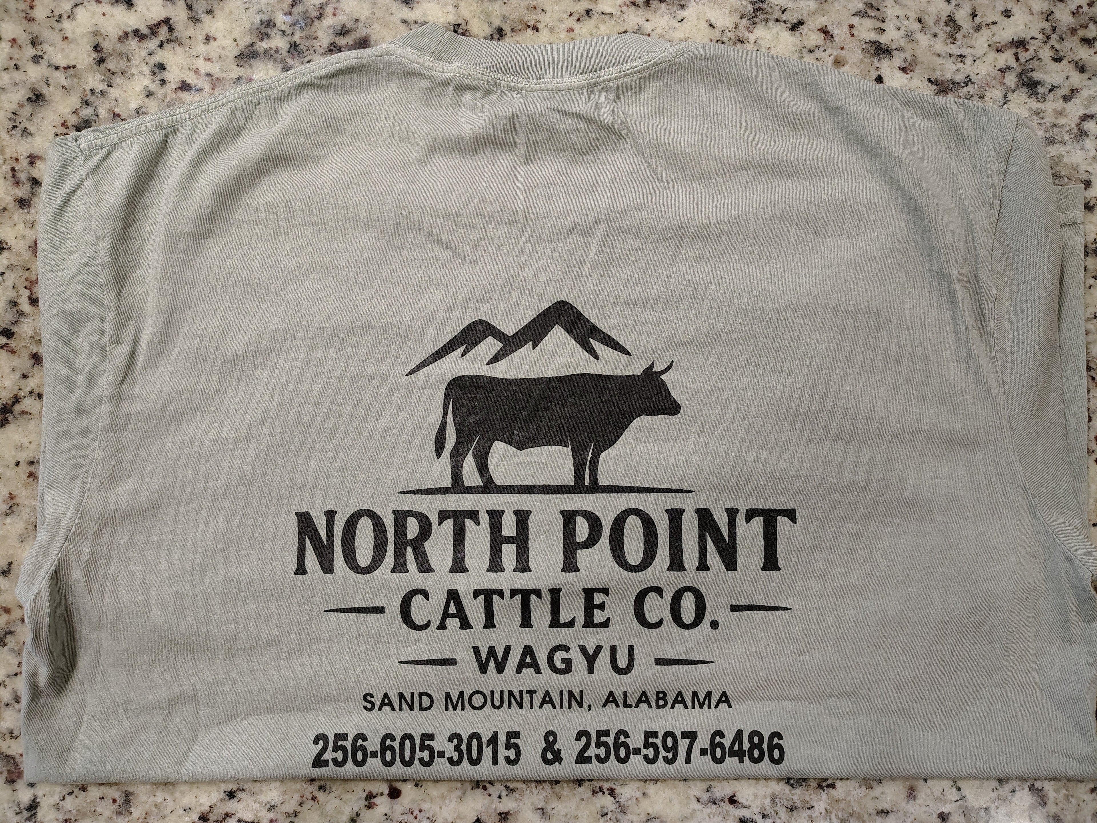 Wagyu Mountain Logo T-shirt