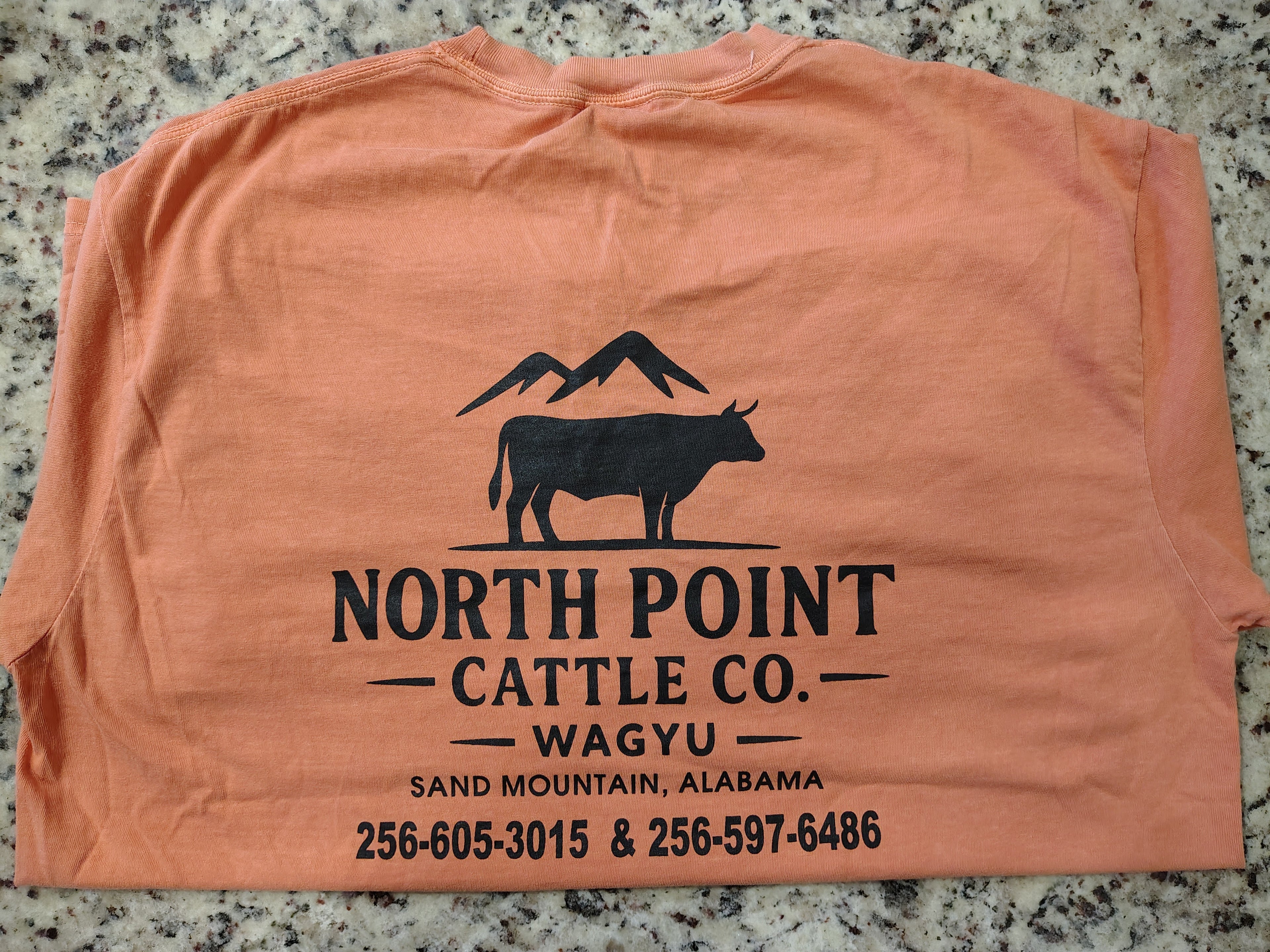 Wagyu Mountain Logo T-shirt