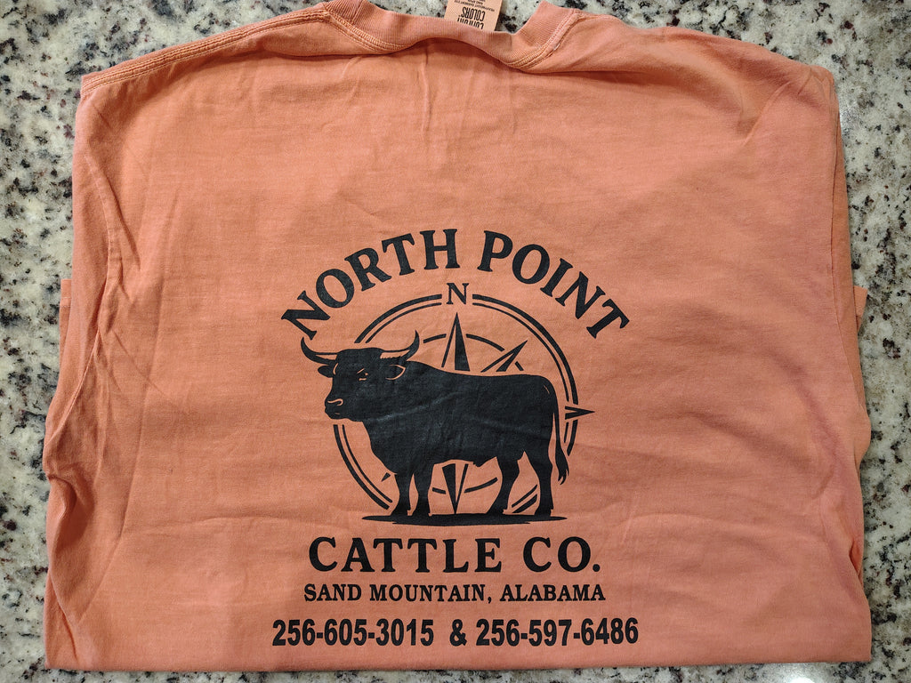 Wagyu Compass Logo Tshirt