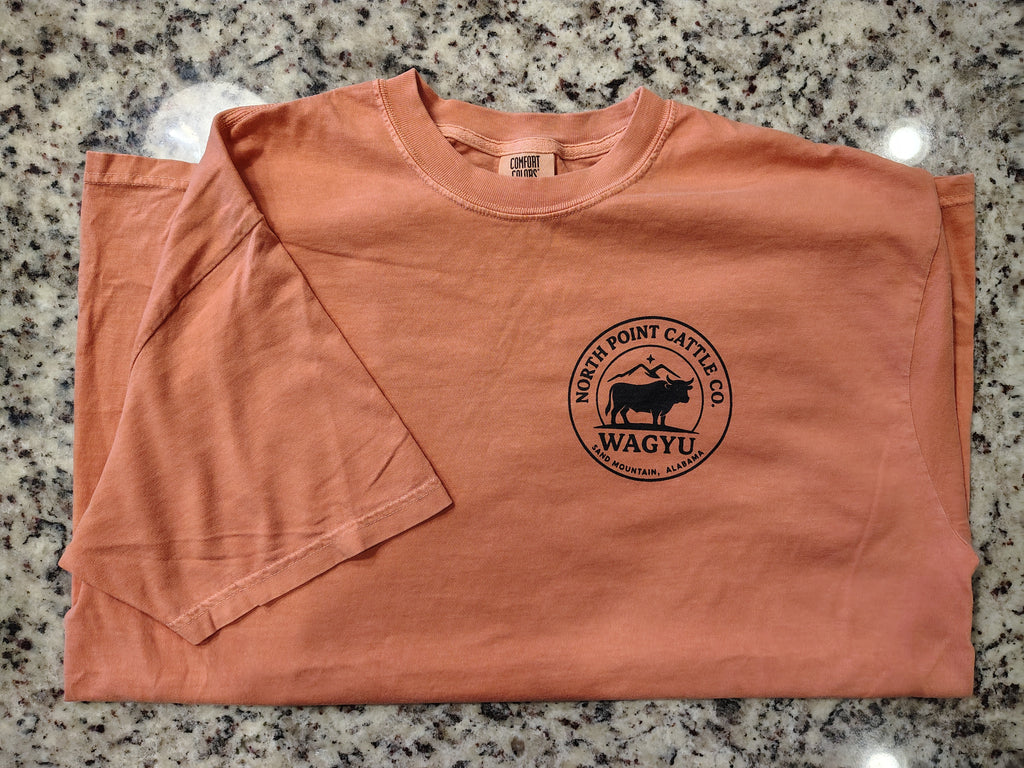 Wagyu Mountain Logo T-shirt